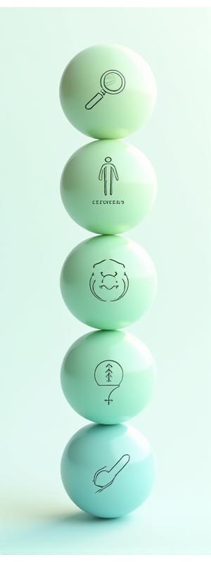Mobile visualization of Velyra Health Co. 4-step wellness methodology: Assess, Personalize, Implement, Refine.