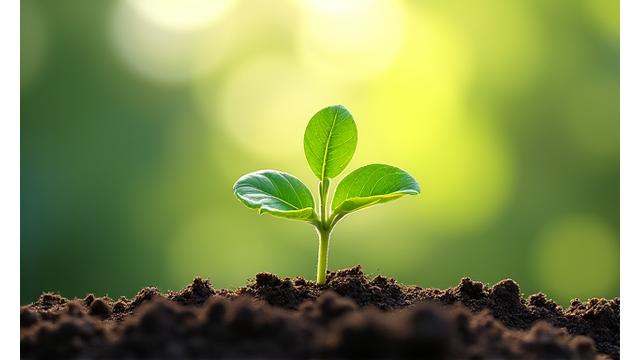 A vibrant green plant sprouting from fertile soil with light rays, symbolizing growth, regeneration, and the concept of longevity and anti-aging.